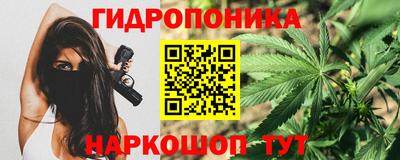 сатива Гусев