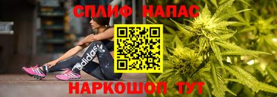 сатива Гусев