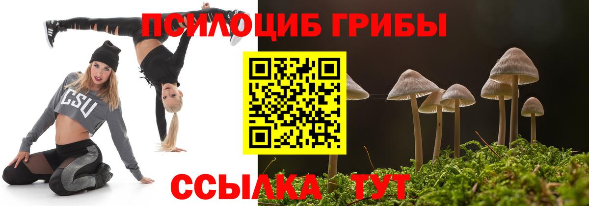 Мелеуз  купить наркотик  Вход с VPN  Галлюциногенные грибы Magic Shrooms 